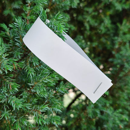 Blank PET tree tags 210x25.4mm - 110 pcs
