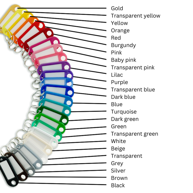 Plastic key tag with label window color mix 55 x 22 mm – 50 pcs